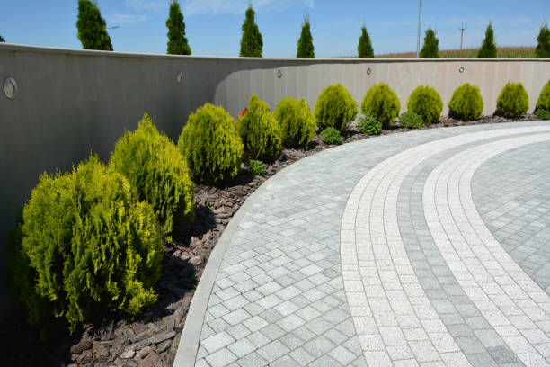 Best Permeable Paver Driveway  in Pecan Plantation, TX